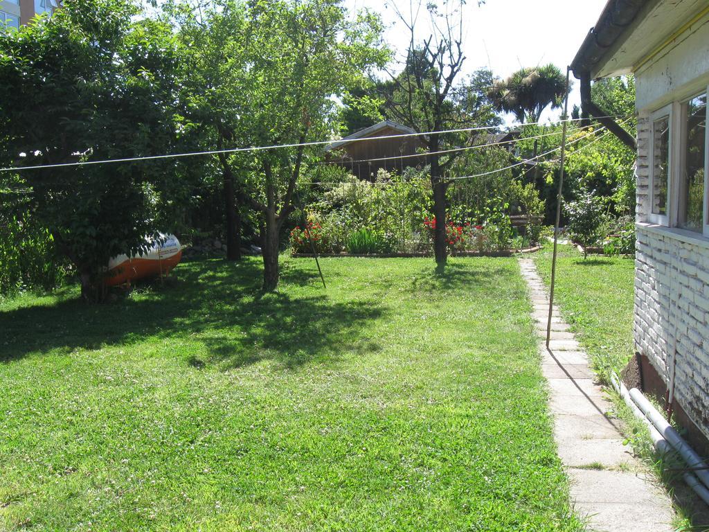 Hostal Entre Araucarias เตมูโก ภายนอก รูปภาพ