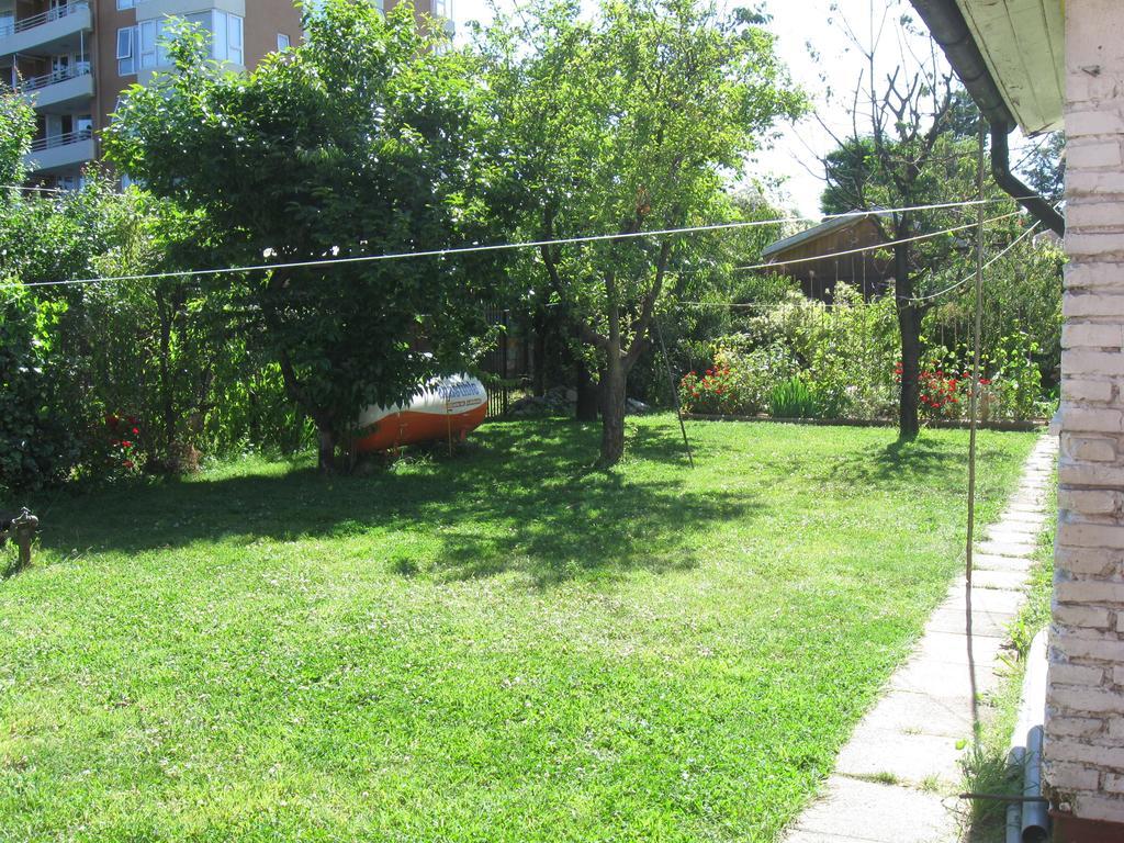 Hostal Entre Araucarias เตมูโก ภายนอก รูปภาพ